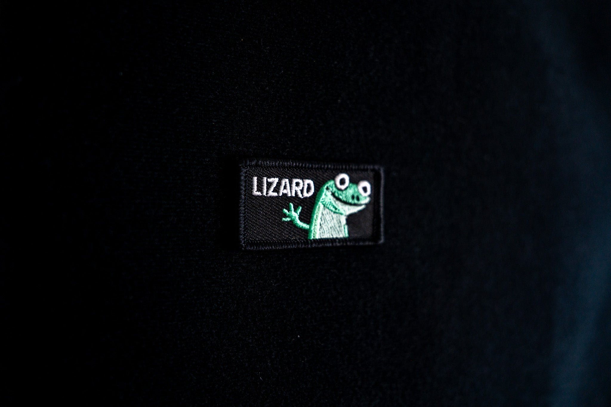 Lizard