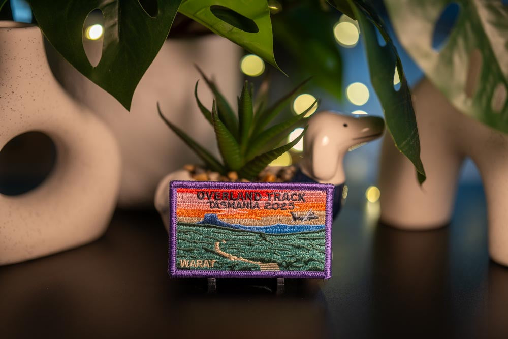 Small decorative patch on a dark surface with plants and lights in the background